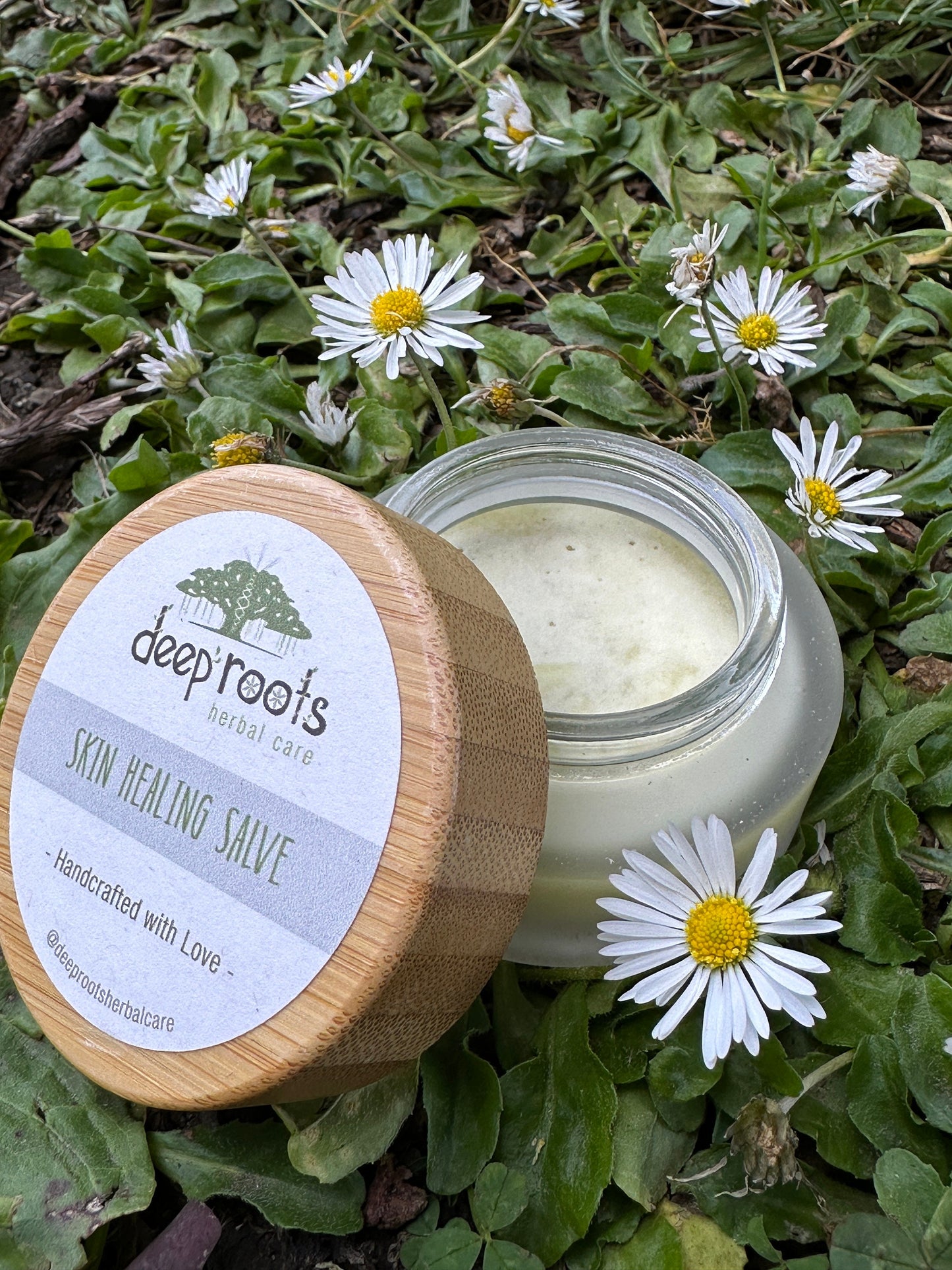 Skin Healing Herb Infused Salve