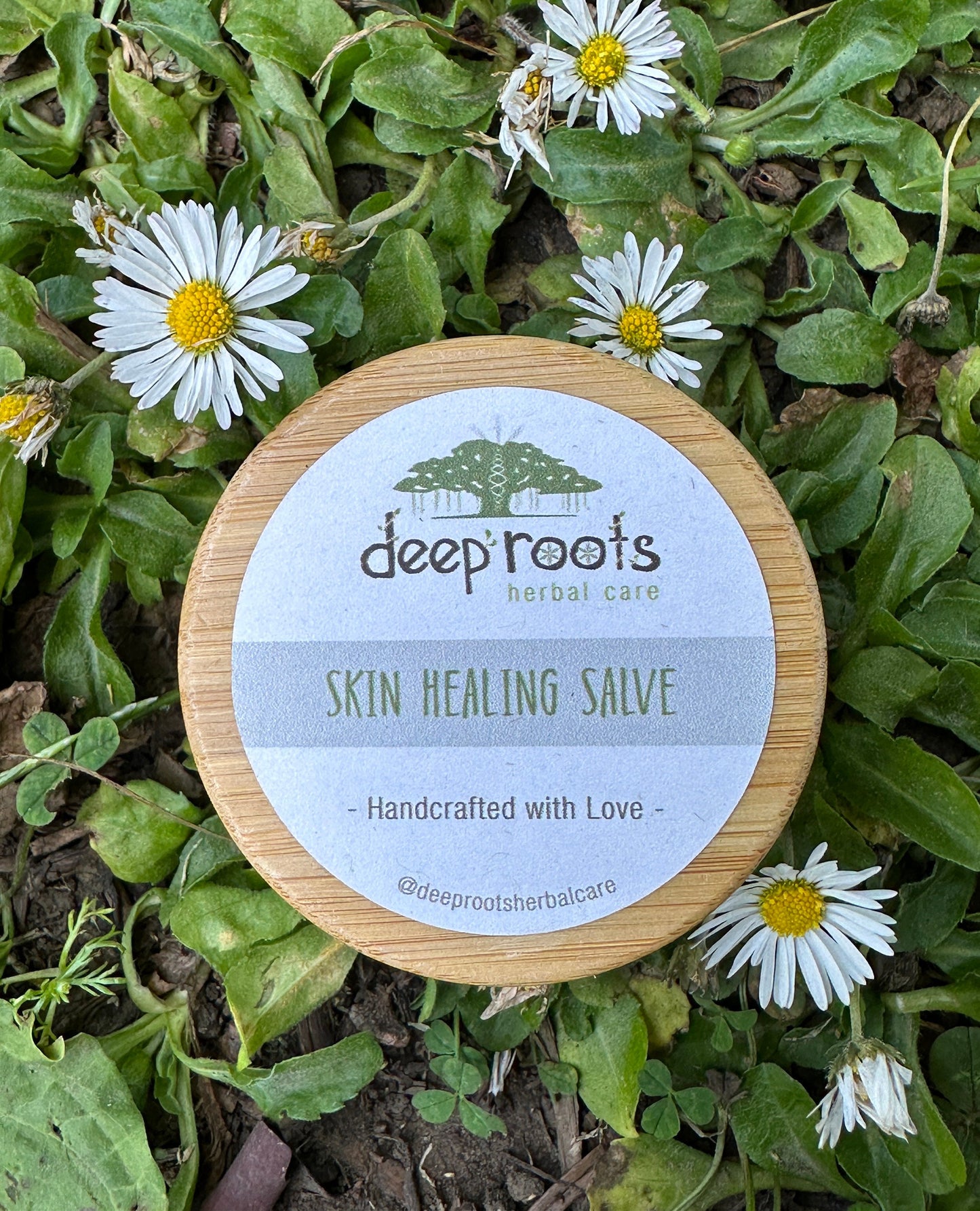 Skin Healing Herb Infused Salve