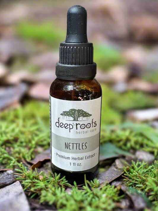 Nettles Tincture for Energy, Mineral and Iron Support, Organic Herbal Extract, Seasonal Wellness and Vitality