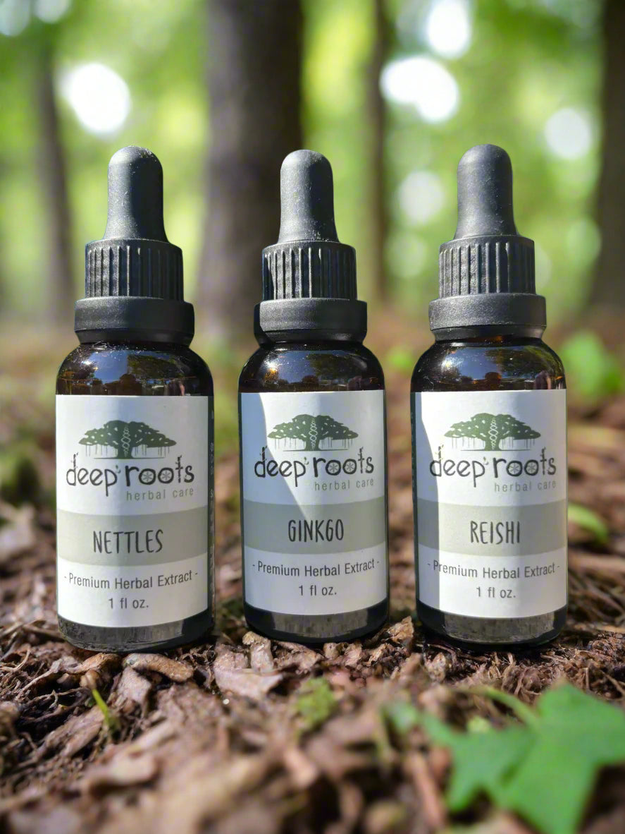 Focus Bundle (Nettles, Gingko, Reishi)