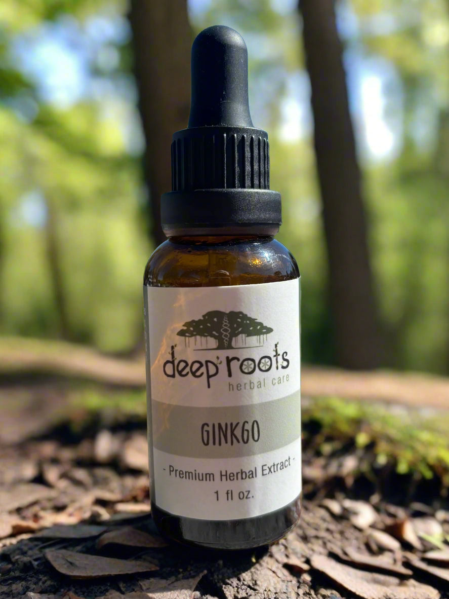 Ginkgo Tincture for Focus and Circulation, Organic Brain Support Herbal Extract, Vegan Cognitive Clarity Aid