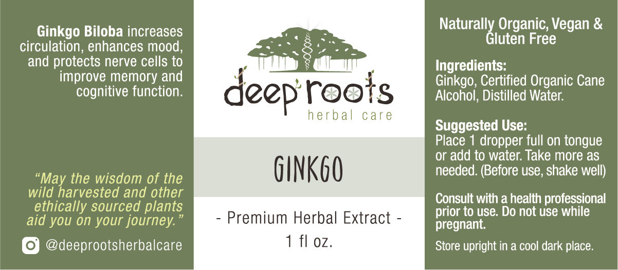 Ginkgo Tincture for Focus and Circulation, Organic Brain Support Herbal Extract, Vegan Cognitive Clarity Aid