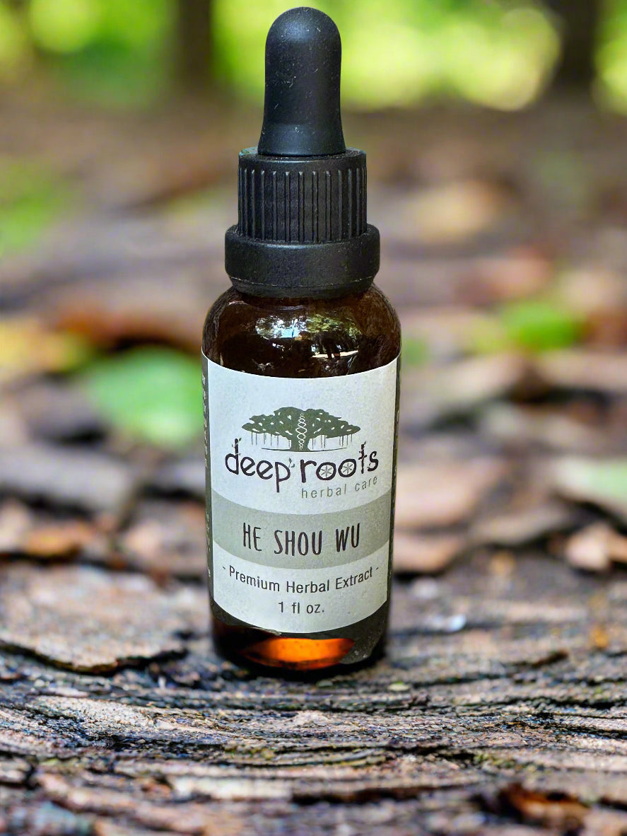 Bottle of Deep Roots Herbal Care He Shou Wu extract on a stone surface with dried leaves.