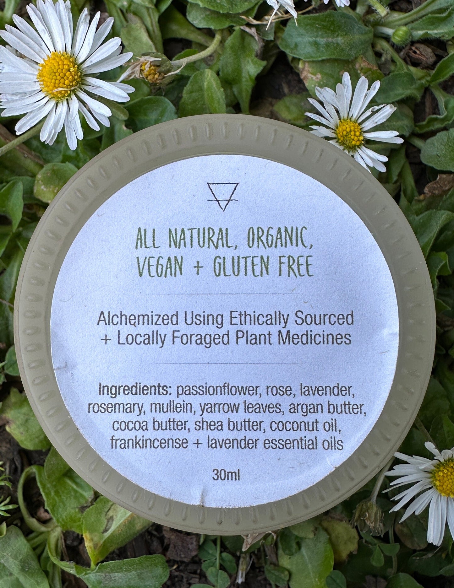 Skin Healing Herb Infused Salve